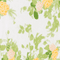 Colour swatch: Green Sunlight