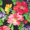 Midnight Bloom