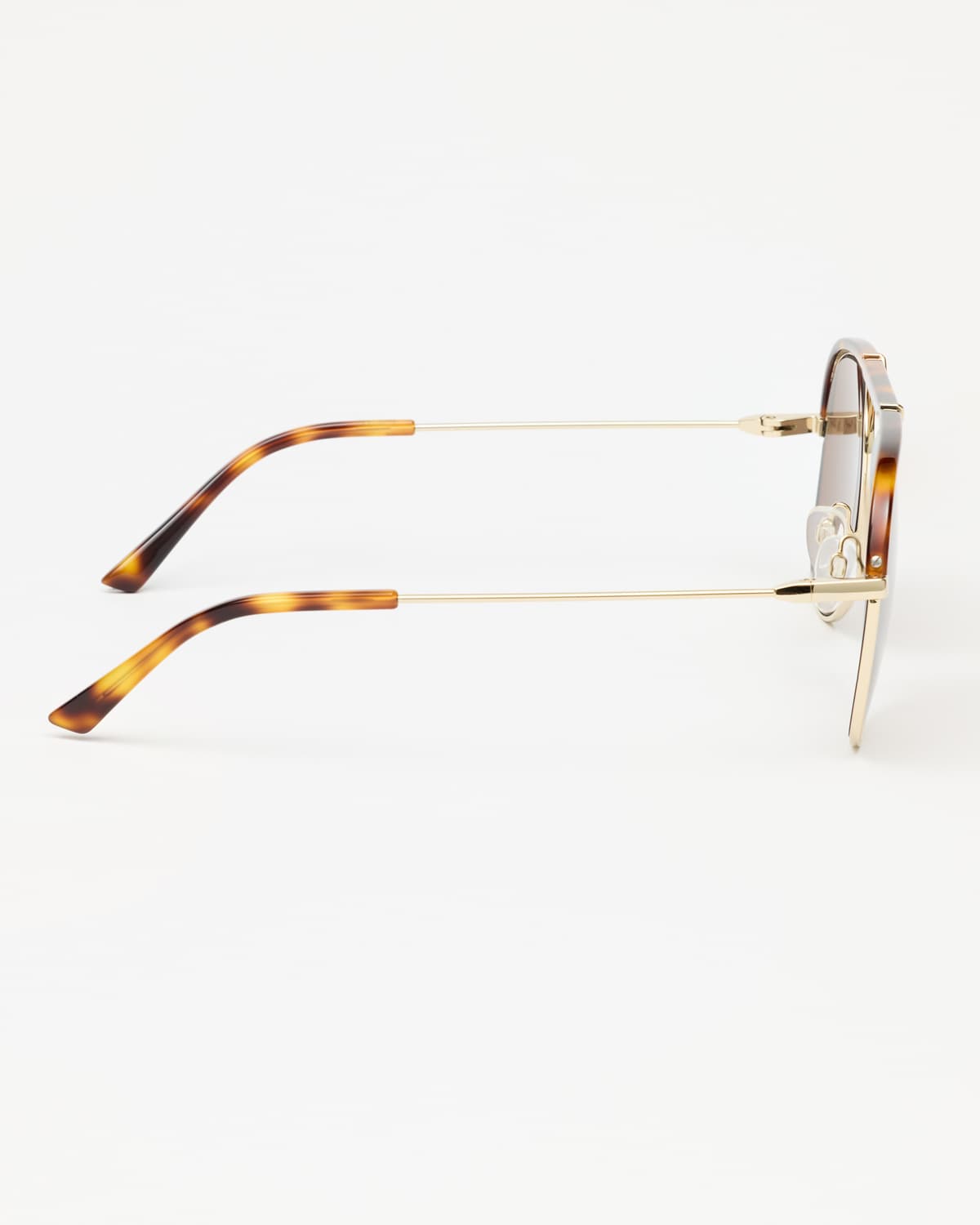 The Aviator, Tortoise. Image #3