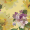 Colour swatch: Sunflower